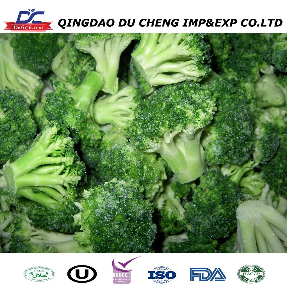 Broccoli Plant Frozen IQF Wholesale Fresh Broccoli Sprouts Picking Broccoli