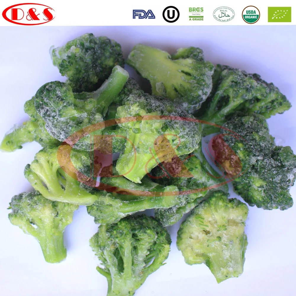 Wholesale with Best Price IQF Frozen Broccoli