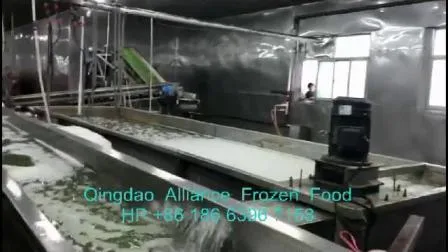 2022 Новый урожай китайских овощей замороженный IQF зеленый горошек с Brc ISO FDA кошерный