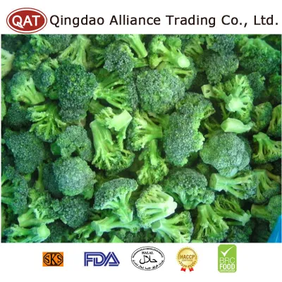 Китай органический производитель на заводе замороженной зеленой брокколи Cut IQF урожая зеленой брокколи с хорошей ценой